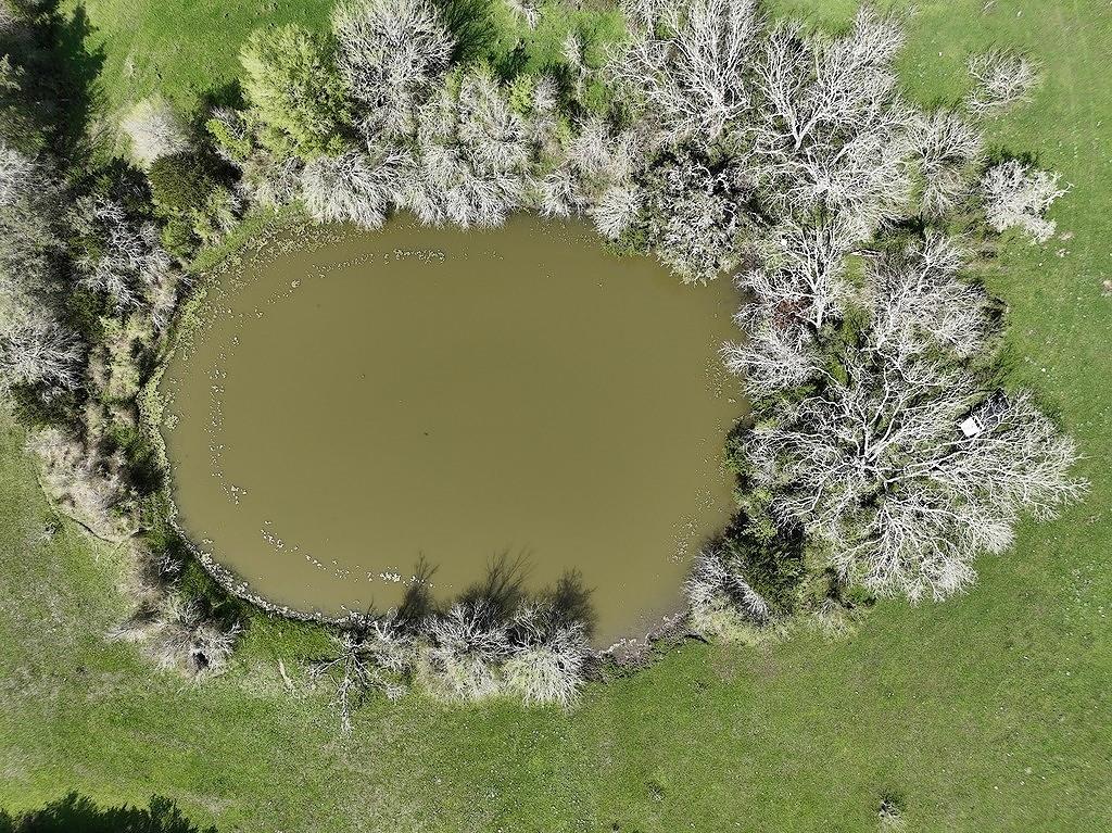 TBD County Road 244, Weimar, Texas image 3