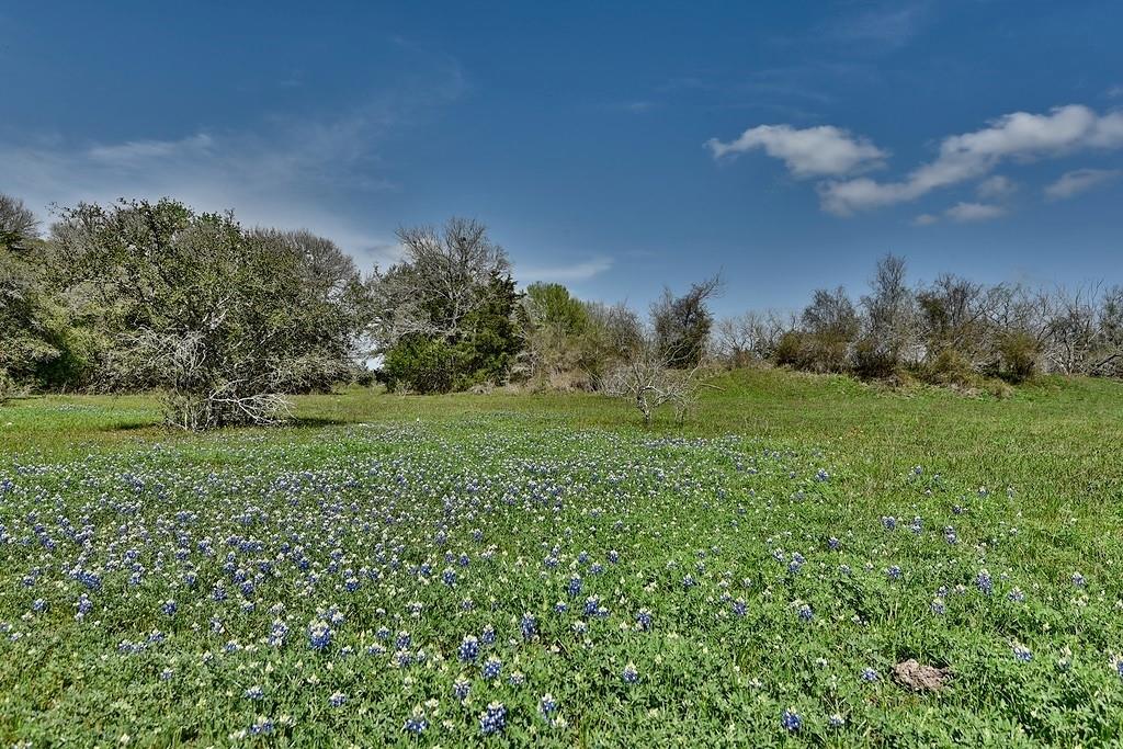 TBD County Road 244, Weimar, Texas image 4