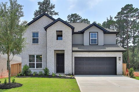 276 Warbler Song Drive Willis TX 77318
