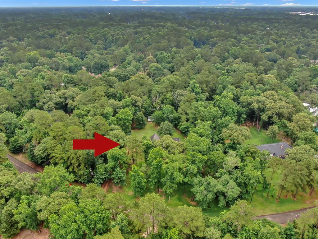 40214 Roundup Road, Magnolia, Texas image 45