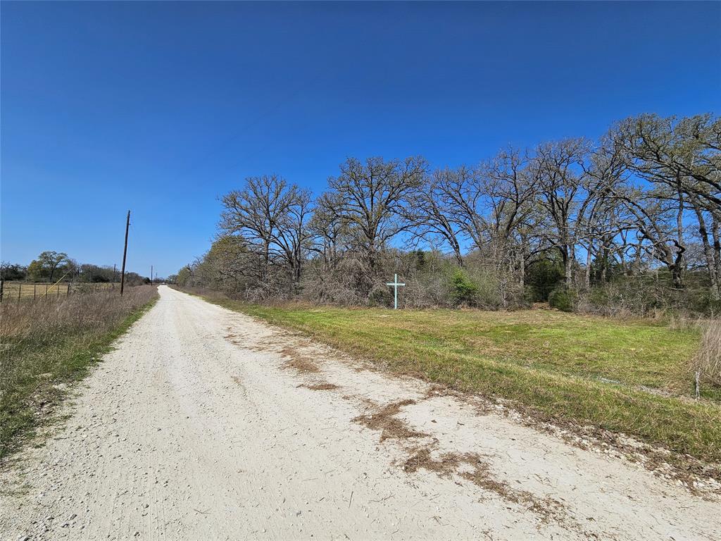 TBD Pr 4490 Road, Normangee, Texas image 6