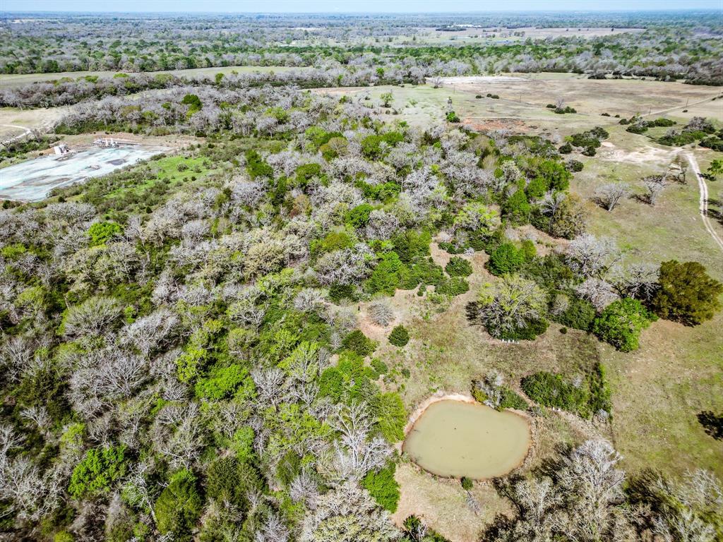 TBD Pr 4490 Road, Normangee, Texas image 21