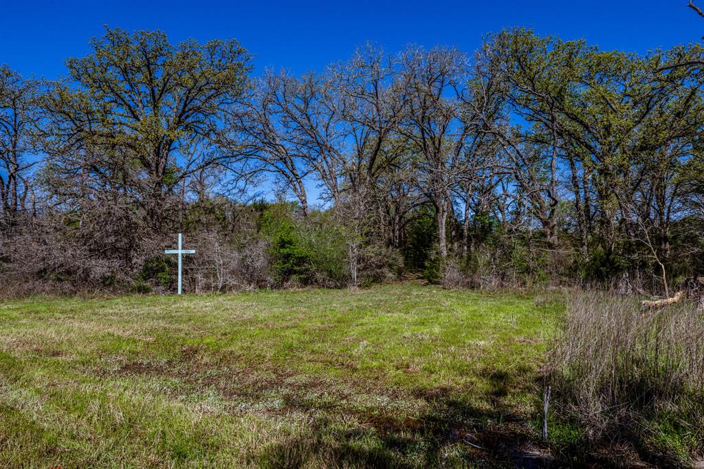 TBD Pr 4490 Road, Normangee, Texas image 7
