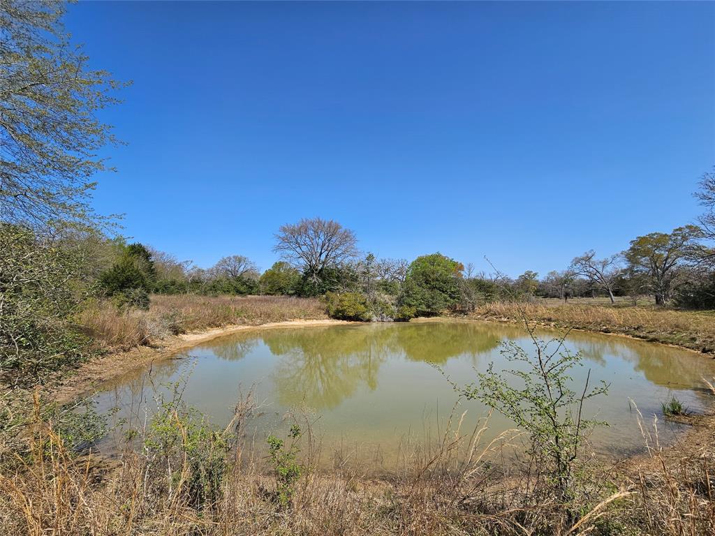 TBD Pr 4490 Road, Normangee, Texas image 1