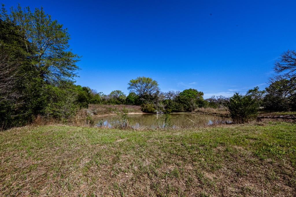 TBD Pr 4490 Road, Normangee, Texas image 8