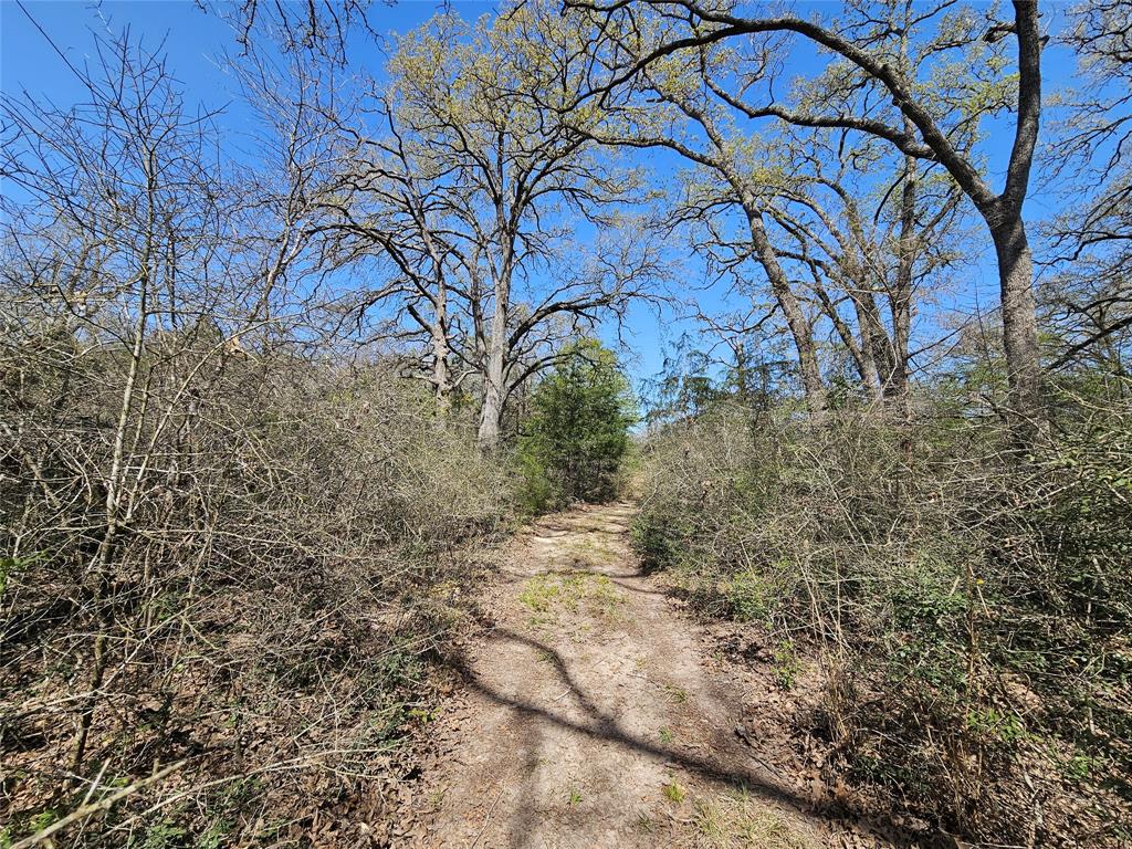 TBD Pr 4490 Road, Normangee, Texas image 2