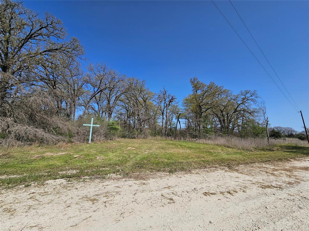 TBD Pr 4490 Road, Normangee, Texas image 5