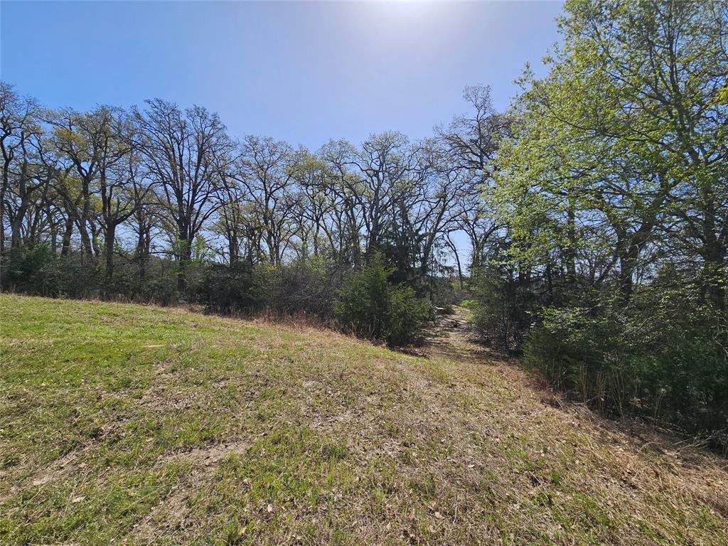 TBD Pr 4490 Road, Normangee, Texas image 3
