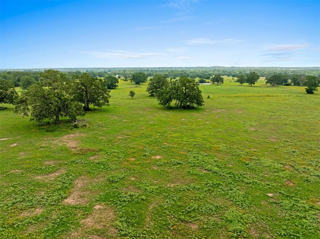 TBD Fm 141 - 43a, Giddings, Texas image 9