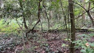 0 Lake Rollingwood Loop