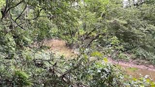 0 Lake Rollingwood Loop