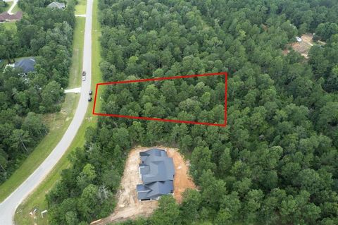 15806 Republic Ranch Road N Willis TX 77378