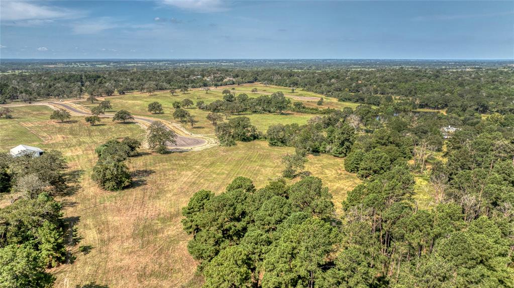 140 Bellwood Lake Lane, Bellville, Texas image 9