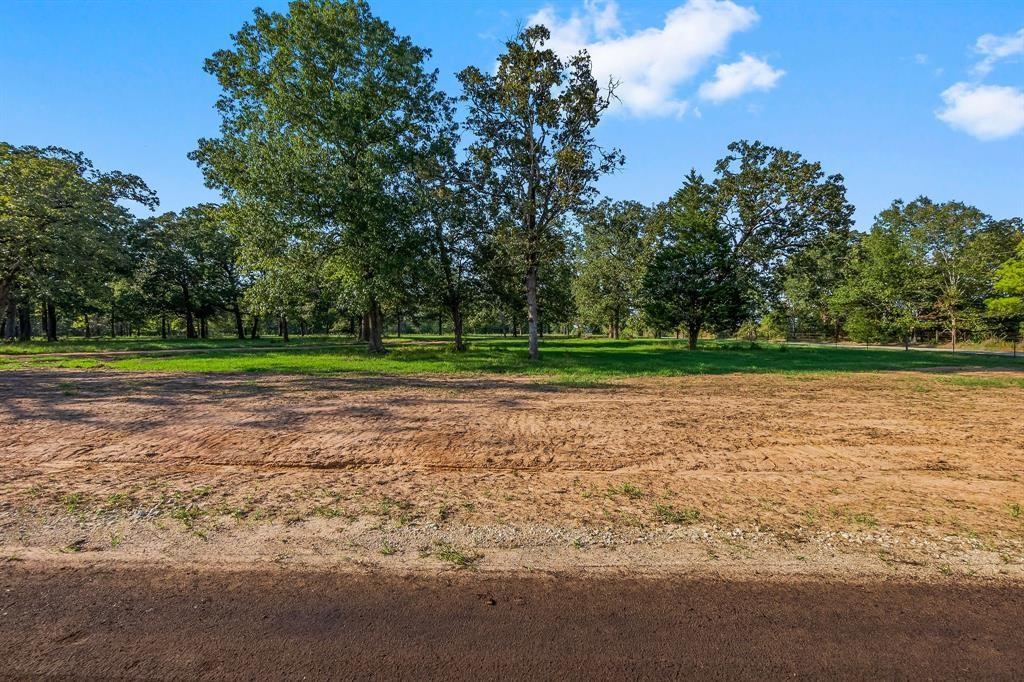 Lot 1 Alans Lane, New Waverly, Texas image 2