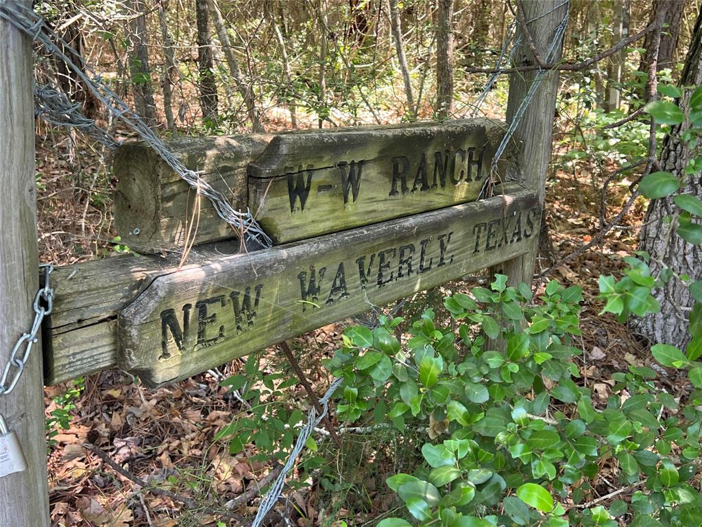 Winters Ranch Road, New Waverly, Texas image 17