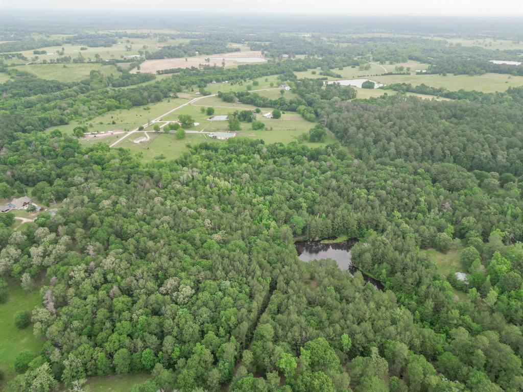 Winters Ranch Road, New Waverly, Texas image 10