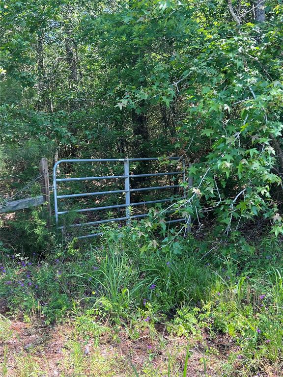 Winters Ranch Road, New Waverly, Texas image 16