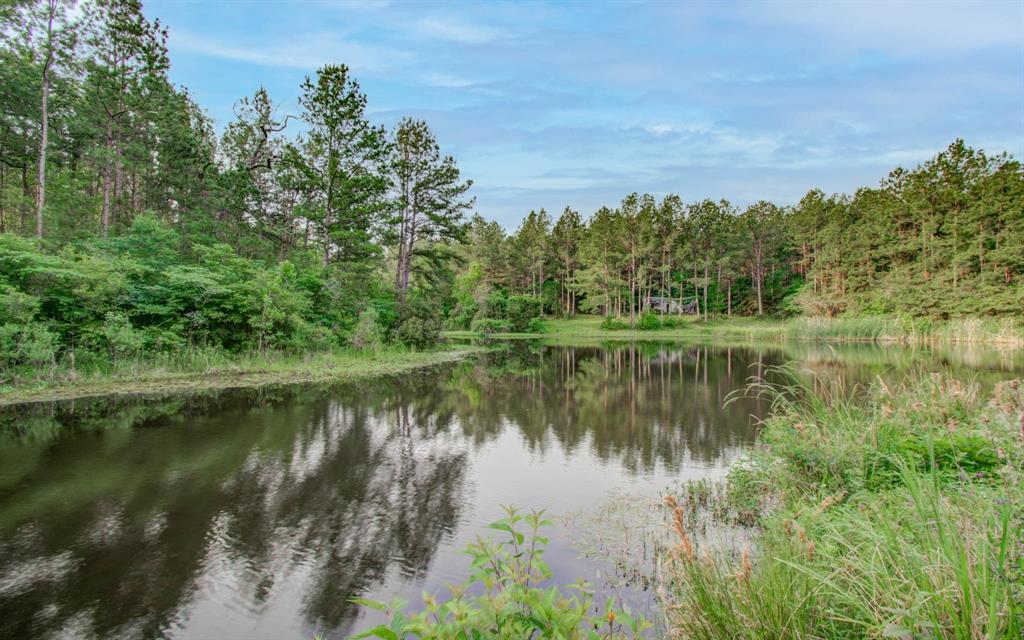 Winters Ranch Road, New Waverly, Texas image 3