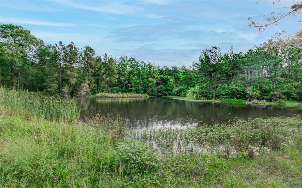 Winters Ranch Road, New Waverly, Texas image 5