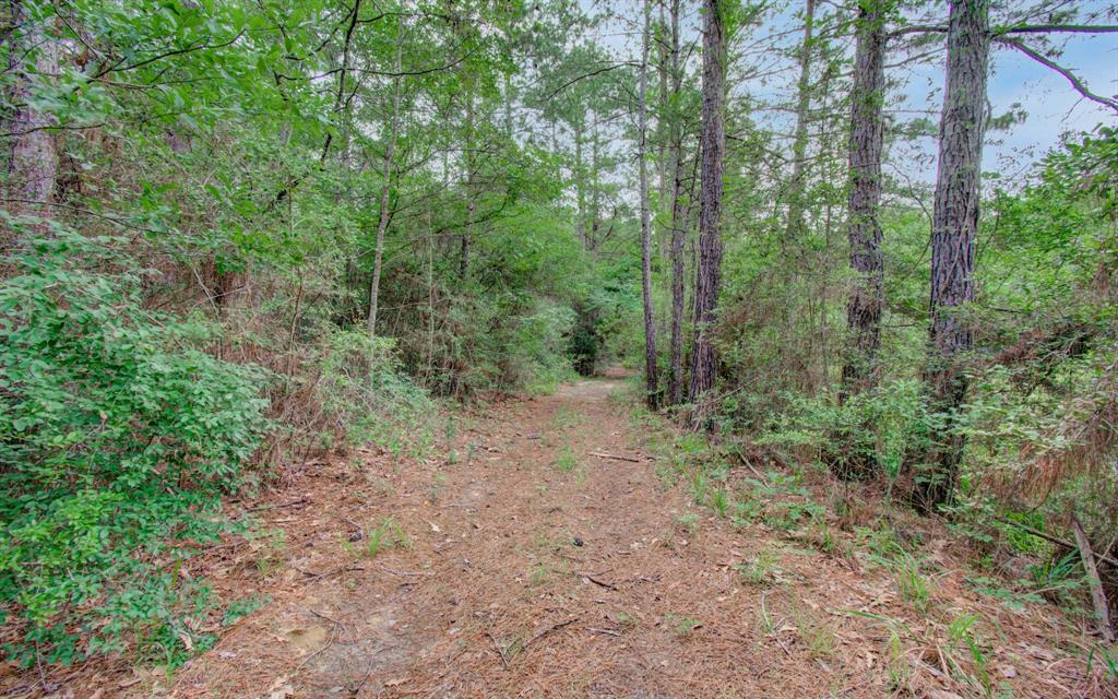 Winters Ranch Road, New Waverly, Texas image 9