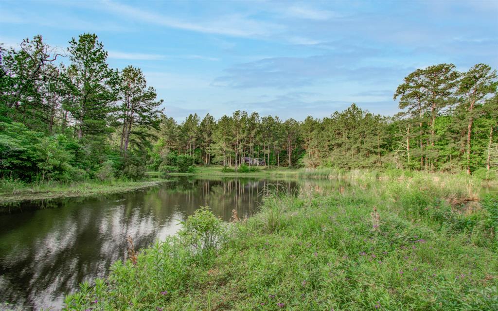 Winters Ranch Road, New Waverly, Texas image 1