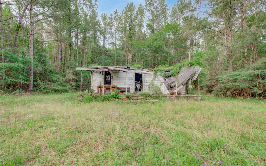 Winters Ranch Road, New Waverly, Texas image 8