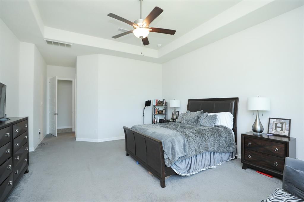 10134 Blythe Street, Rosharon, Texas image 39
