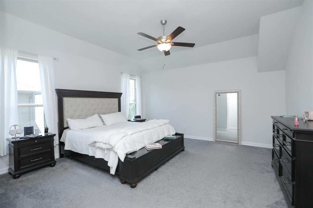 10134 Blythe Street, Rosharon, Texas image 29