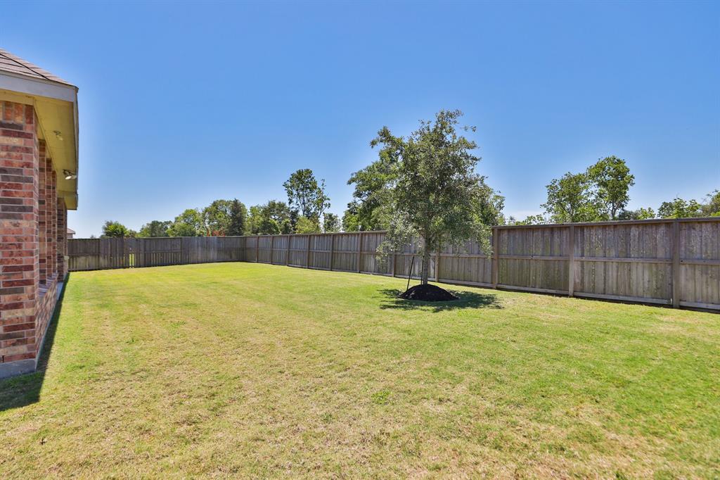 10134 Blythe Street, Rosharon, Texas image 45