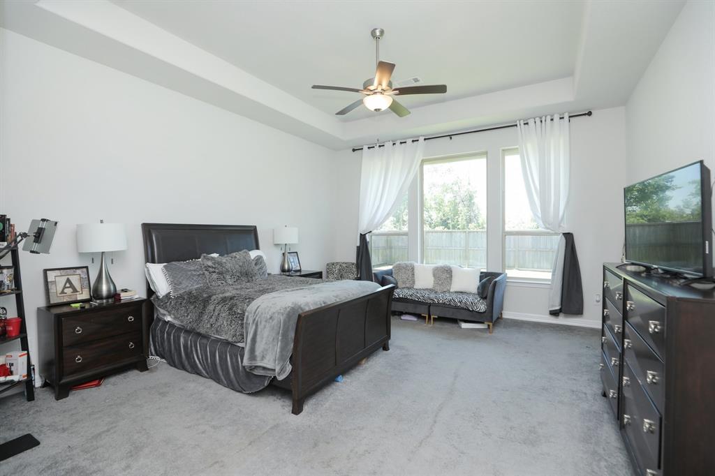 10134 Blythe Street, Rosharon, Texas image 38
