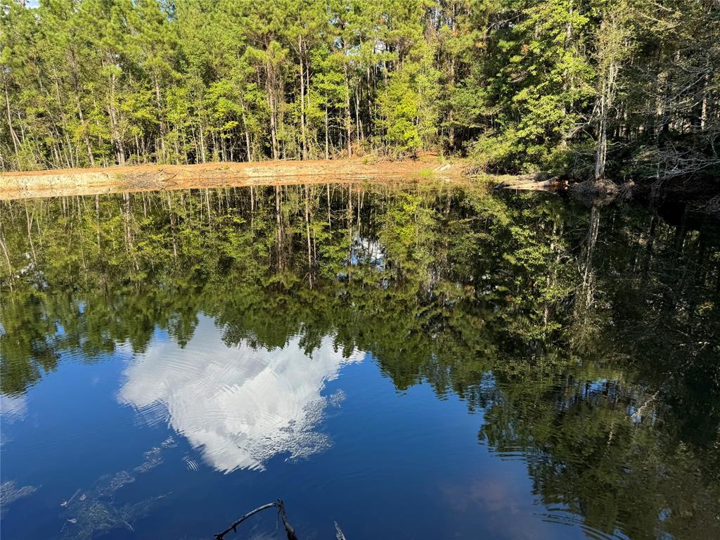155 Cr 4279, Woodville, Texas image 23