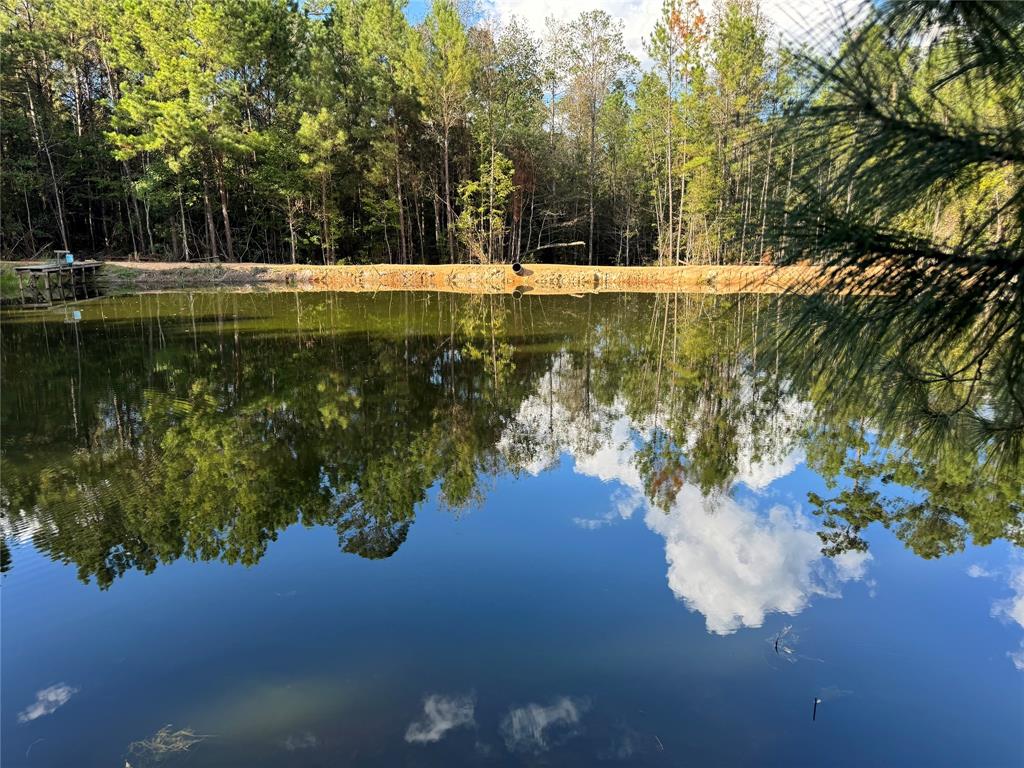 155 Cr 4279, Woodville, Texas image 3