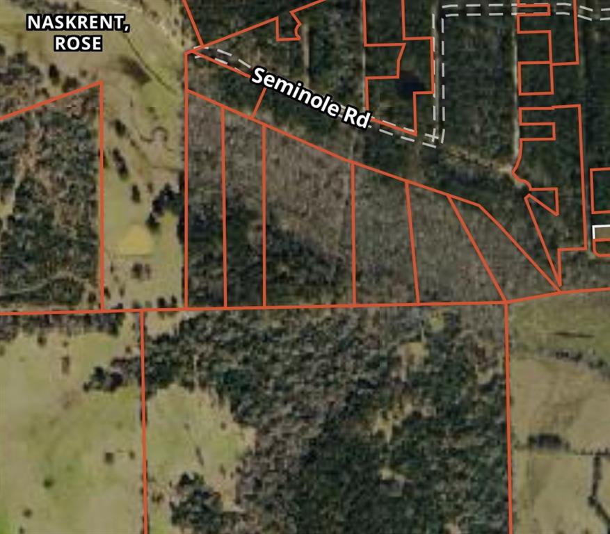 TBD Linda C Bowen Lot 1, Navasota, Texas image 3