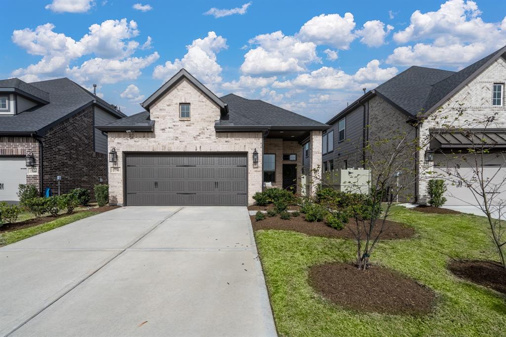 17746 Tree Of Heaven, Conroe, Texas image 2
