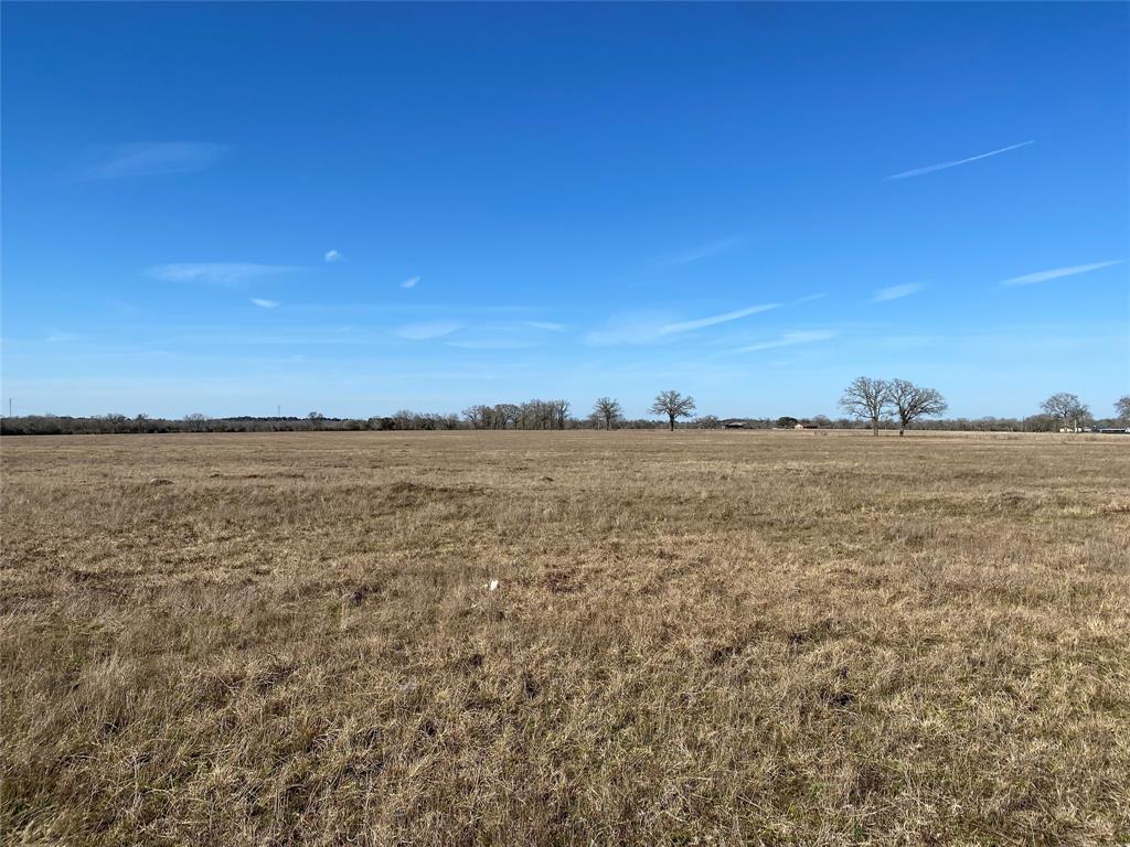 15 Acres Lot 14, Hwy 30, Bedias, Texas image 17