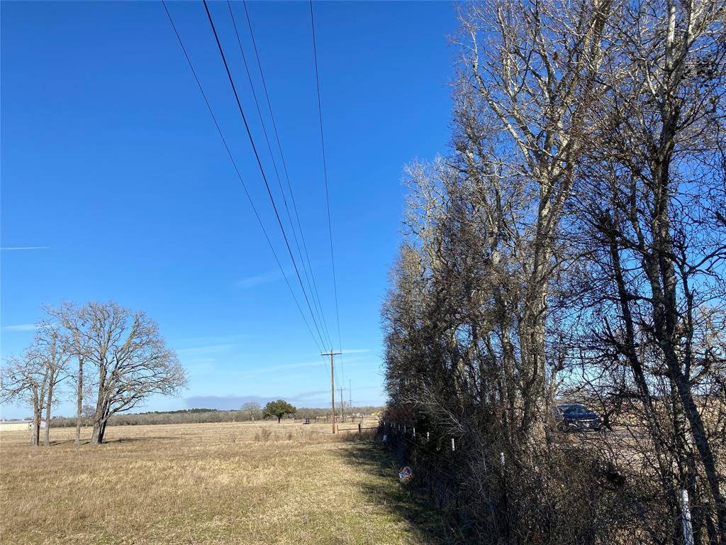 15 Acres Lot 14, Hwy 30, Bedias, Texas image 13