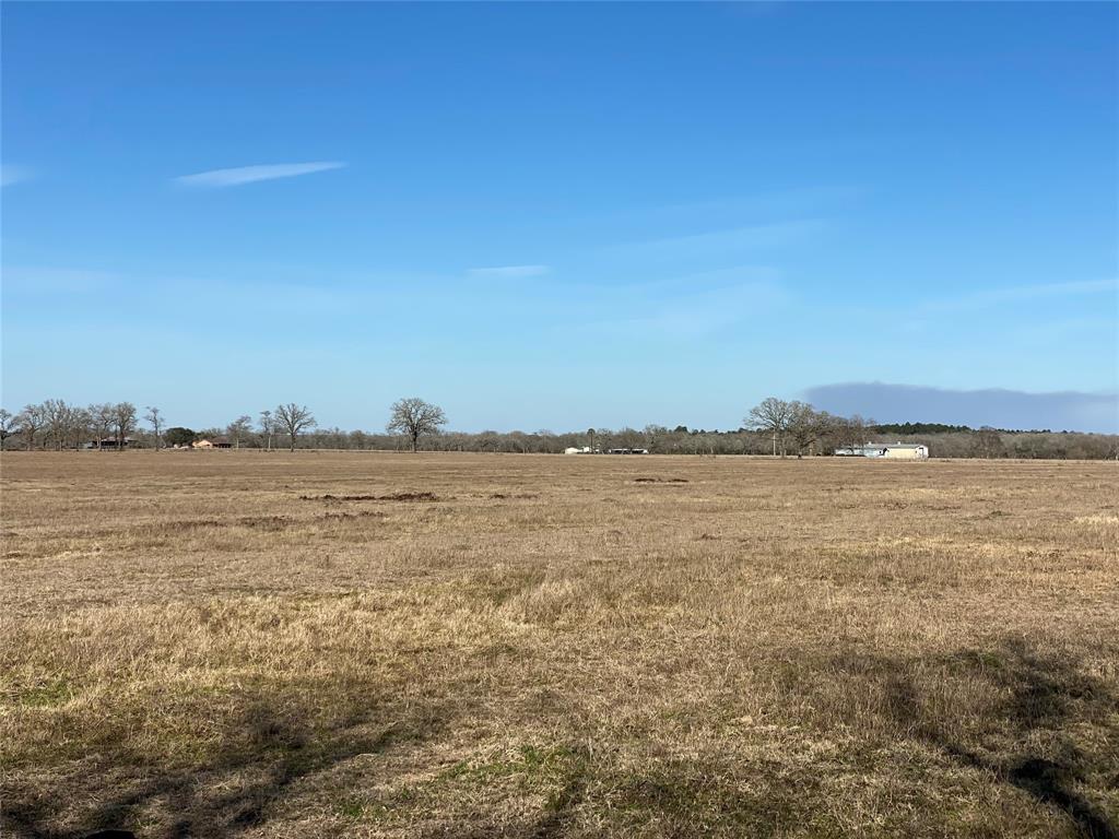 15 Acres Lot 14, Hwy 30, Bedias, Texas image 21