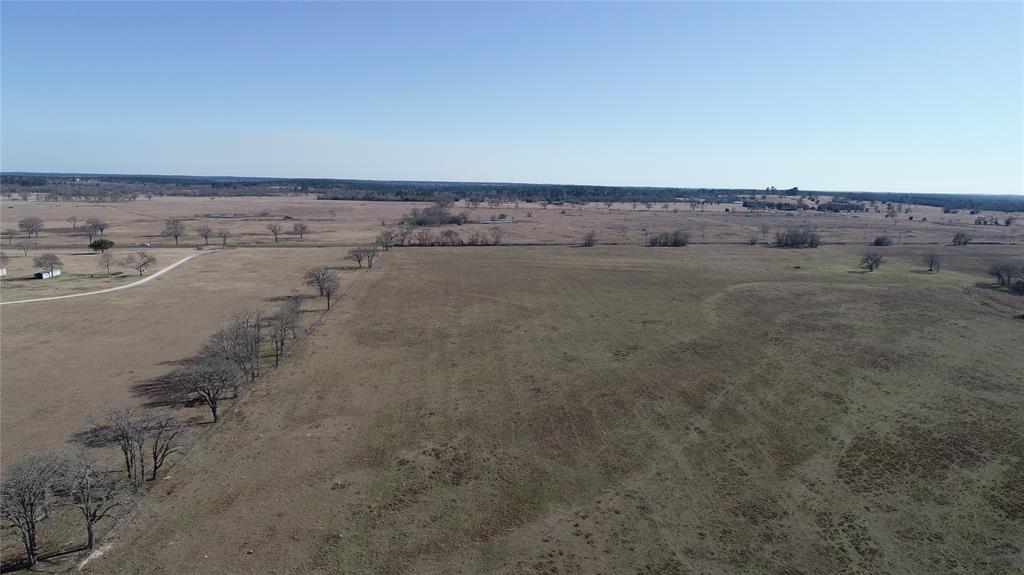 15 Acres Lot 14, Hwy 30, Bedias, Texas image 14