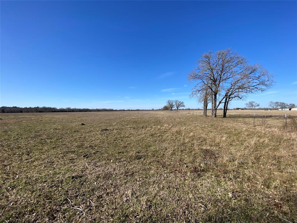 15 Acres Lot 14, Hwy 30, Bedias, Texas image 20