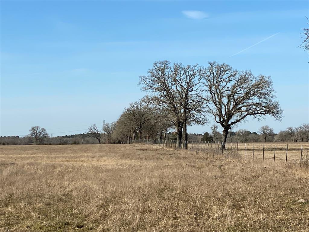 15 Acres Lot 14, Hwy 30, Bedias, Texas image 7