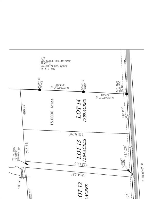 15 Acres Lot 14, Hwy 30, Bedias, Texas image 12