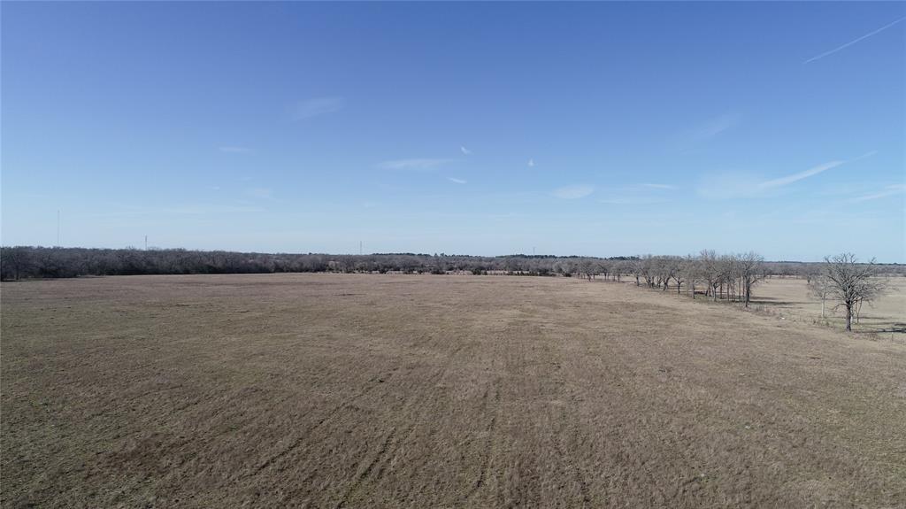 15 Acres Lot 14, Hwy 30, Bedias, Texas image 19