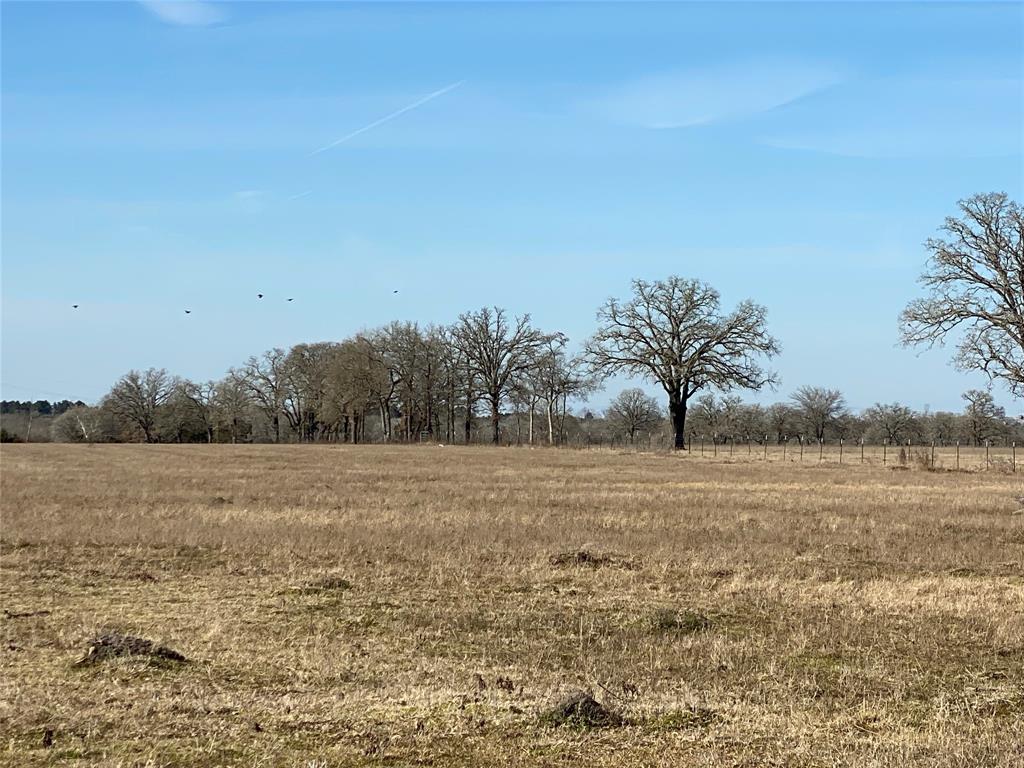 15 Acres Lot 14, Hwy 30, Bedias, Texas image 4