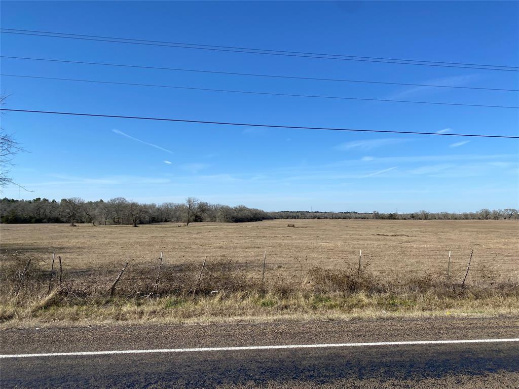 15 Acres Lot 14, Hwy 30, Bedias, Texas image 15