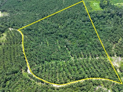 Vacant Land For Sale - Slim Palmer Rd<br/> Zavalla, TX 75980