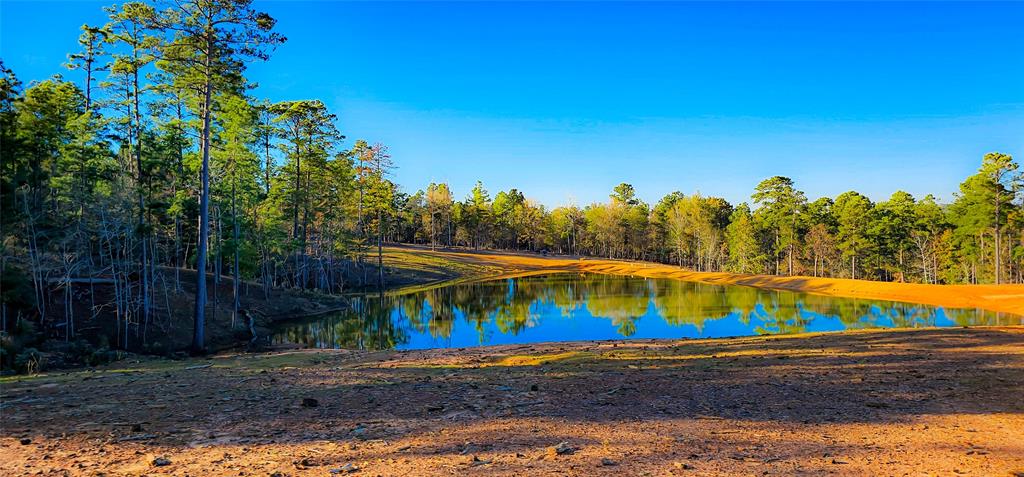 1893 Andersons County Road 153, Palestine, Texas image 4