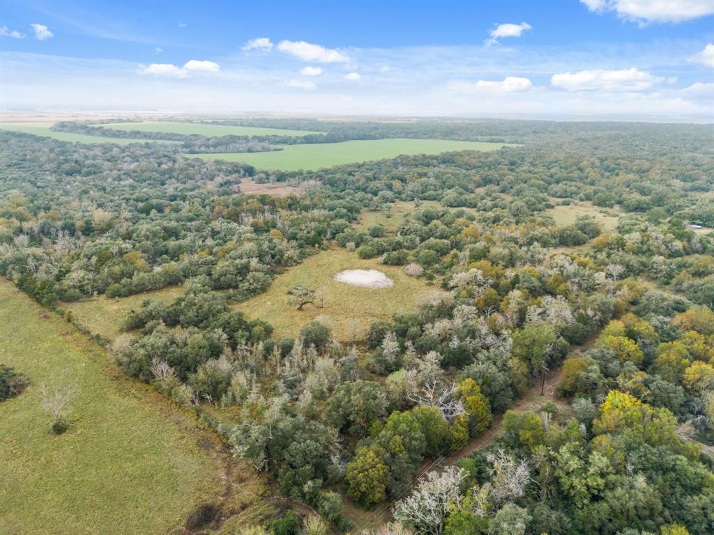 00 Dewberry Lane, Louise, Texas image 3