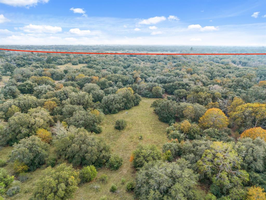 00 Dewberry Lane, Louise, Texas image 13