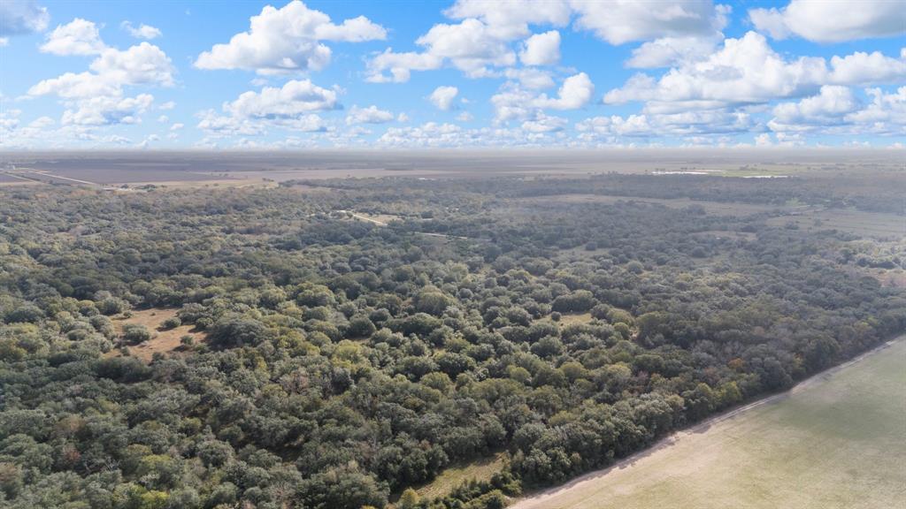 00 Dewberry Lane, Louise, Texas image 19