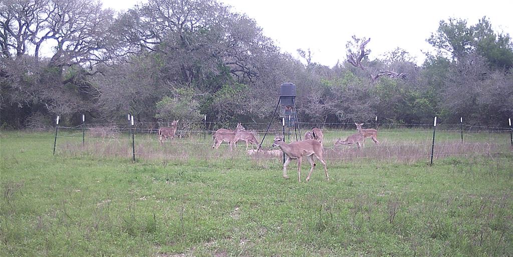 00 Dewberry Lane, Louise, Texas image 34